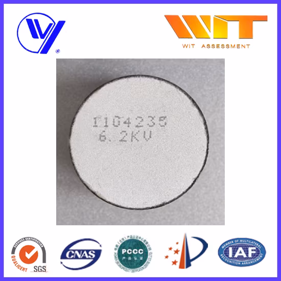 Hangzhou High Quality Metal Oxide Zinc Varistor